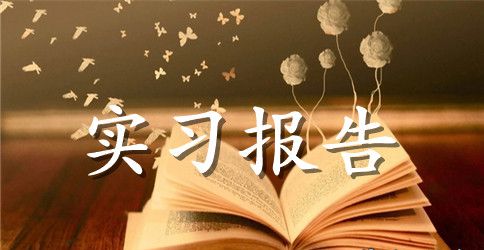 大三的实习报告范文