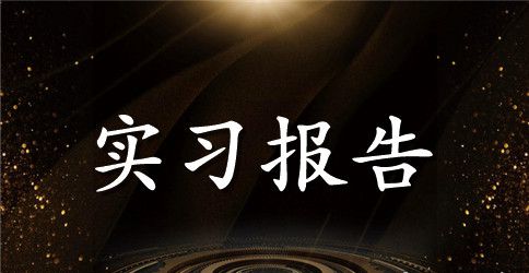 机电专业寒假实习报告范文实习报告范文