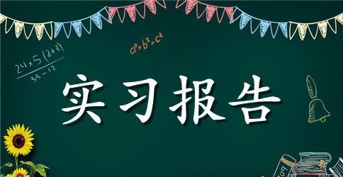实习报告感悟