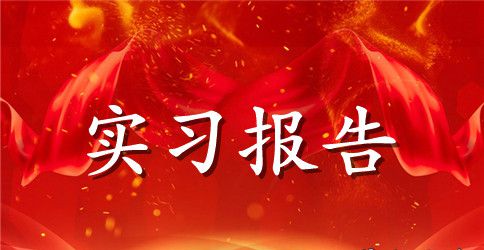 2023大学生暑期实习报告书