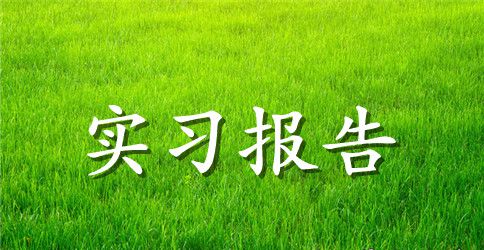 大学生寒假实习报告活动感想