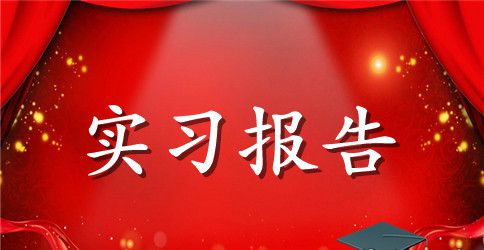 大学生司法局实习报告范文