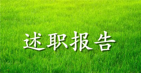 销售人员的述职报告范文