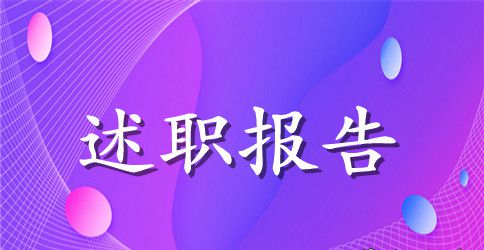 2023年会计师任职个人述职报告范文