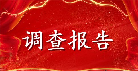 市场调查报告格式