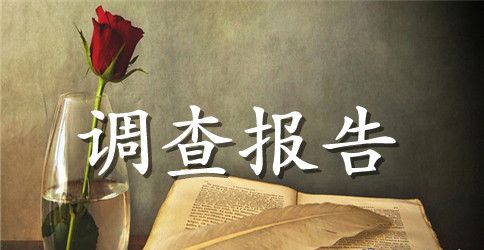 神秘顾客调研报告 神秘顾客的调研报告范文