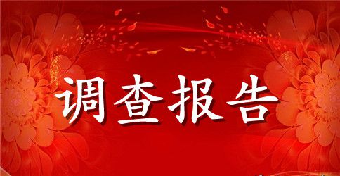 关于调查报告的作文300字汇总五篇