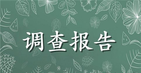 【推荐】学生调查报告范文锦集六篇