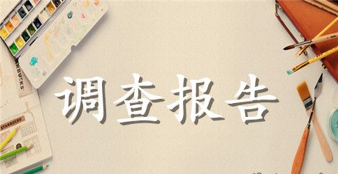 环境调查报告范本