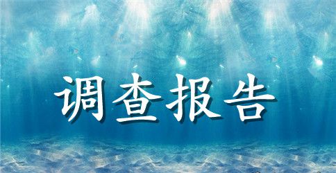 电池调查报告