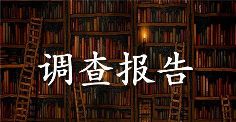 农村社会现状调查报告