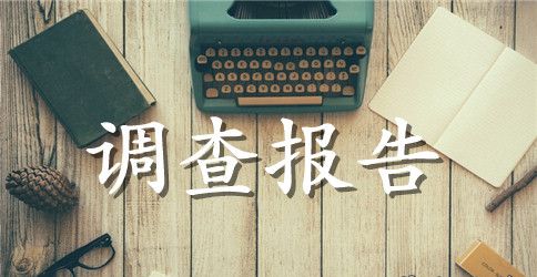 大学生社会实践活动调查报告4篇