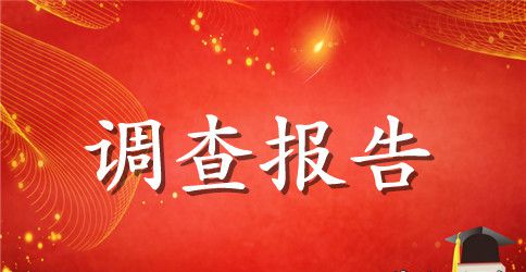 关于地名调查报告作文8篇