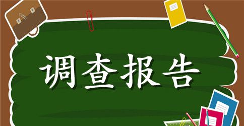 寒假大学生社会实践调查报告范文4篇