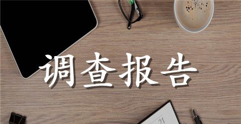 育幼实习报告调查