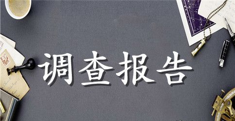 垃圾处理社会调查报告范文