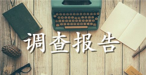 正确使用祖国语言文字调查实习报告范文300字