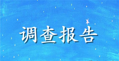 农村建设调查报告4篇