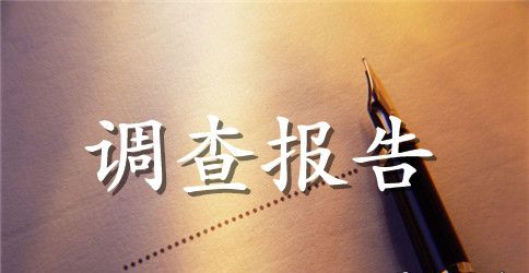 尽职调查报告3篇