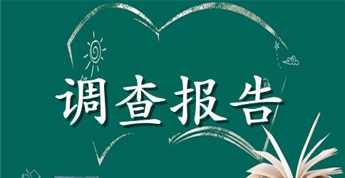 寒假社会实践调查报告2023