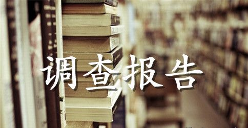 撰写调查报告的要点