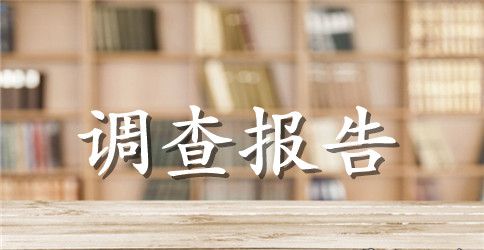 关于贷款的调查报告