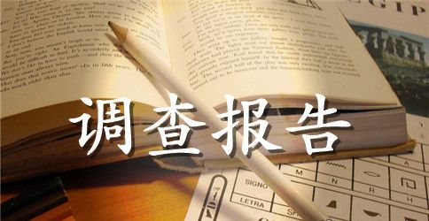 调查报告小学作文
