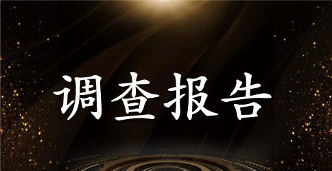 优秀错别字调查报告