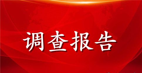 小学生寒假优秀调查报告