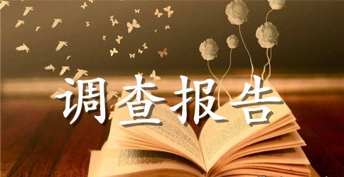2023年暑假大学生社会调查报告：大、中小企业营销能力