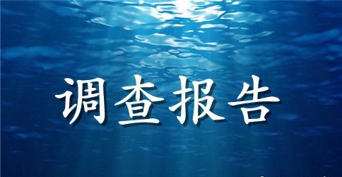 小学生环境调查报告模板
