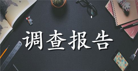 问卷调查报告范本