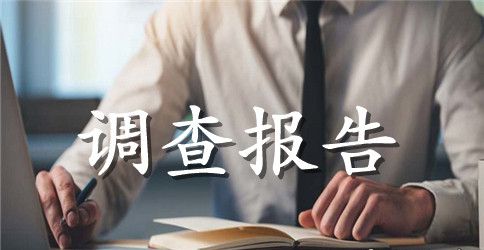 专项审计调查报告范本