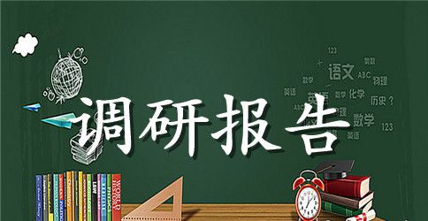 暑假社会实践调研总结报告