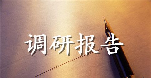 暑期社会实践调研报告范文