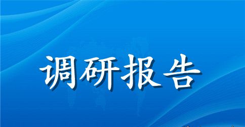 农村问题调研报告