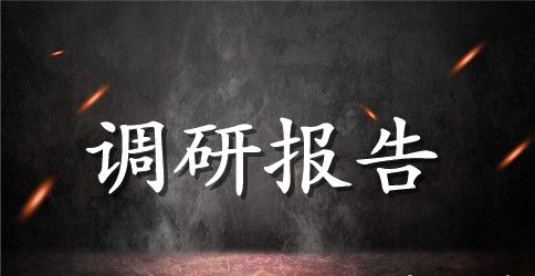 知大局精业务调研报告【5篇】