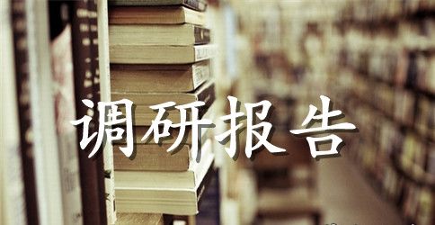市场调研报告的格式要求及范文