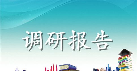 服装市场调研报告优秀范文