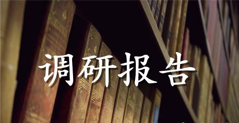 驻村帮扶调研报告范文