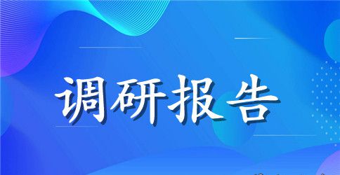 队伍建设调研报告