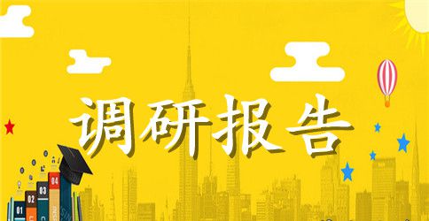 乡镇小学调研工作报告