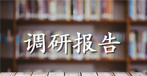 室内设计调研报告