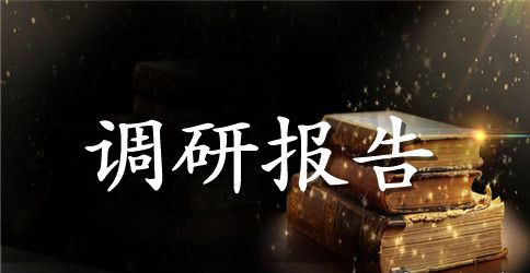农村环境卫生现状调研报告