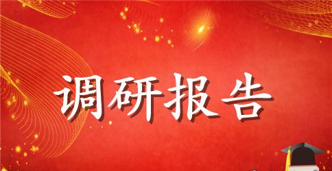 基层调研报告范文