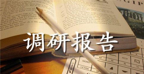 暑期夏令营培训调研报告