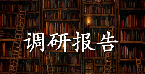 2023城镇化建设现状调研报告