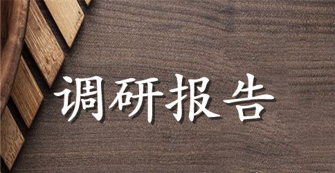 依法行政工作调研报告调研报告工作报告范文