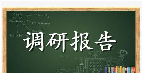 工业企业发展情况调研报告范文