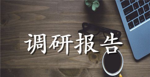 广西调研报告3篇